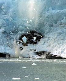 Glacier calving ice floes