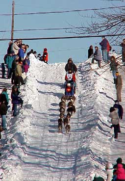 Dog team descending Cordova Street hill