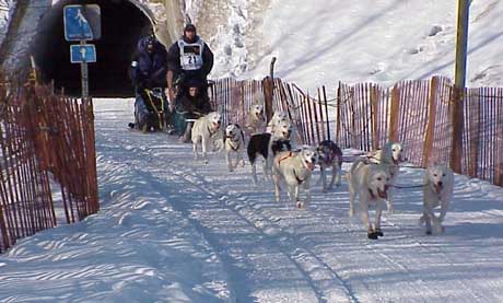 Team emerging from tunnel