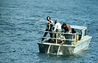 halibut fishing