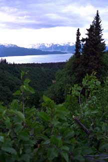 Kachemak Bay view