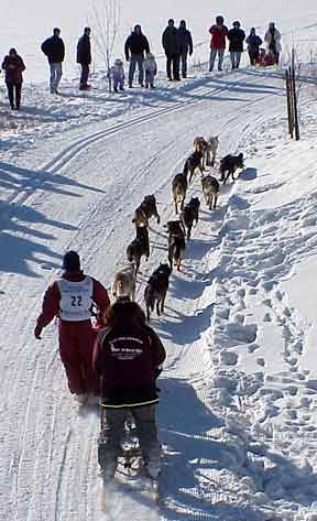 Overhead view of Iditarod