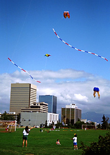 Kite fliers on the Park Strip