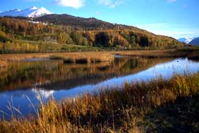 Potter Marsh in the fall