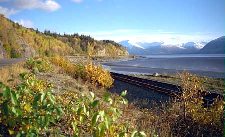 Fall scene along Turnagain Arm